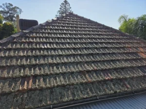 roof repair and painting services bendigo shine coating