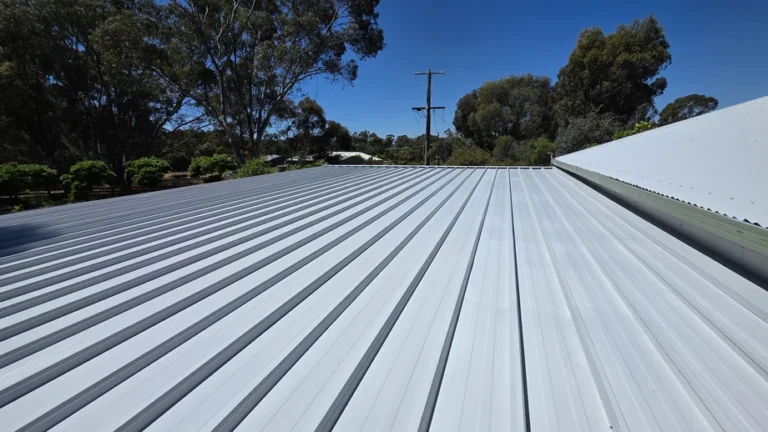 A freshly restored metal roof painted in a clean, uniform light grey finish as part of professional roof painting and repair services in Bendigo.