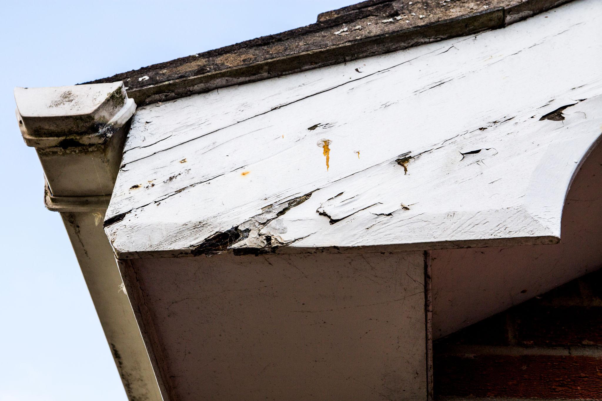 Moisture damage causing exterior paint to peel around a window frame