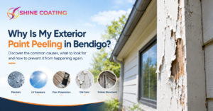 Why Is My Exterior Paint Peeling in Bendigo