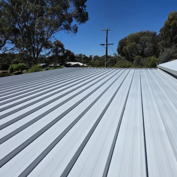 A freshly restored metal roof painted in a clean, uniform light grey finish as part of professional roof painting and repair services in Bendigo.