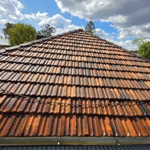 roof repair and painting services bendigo shine coating