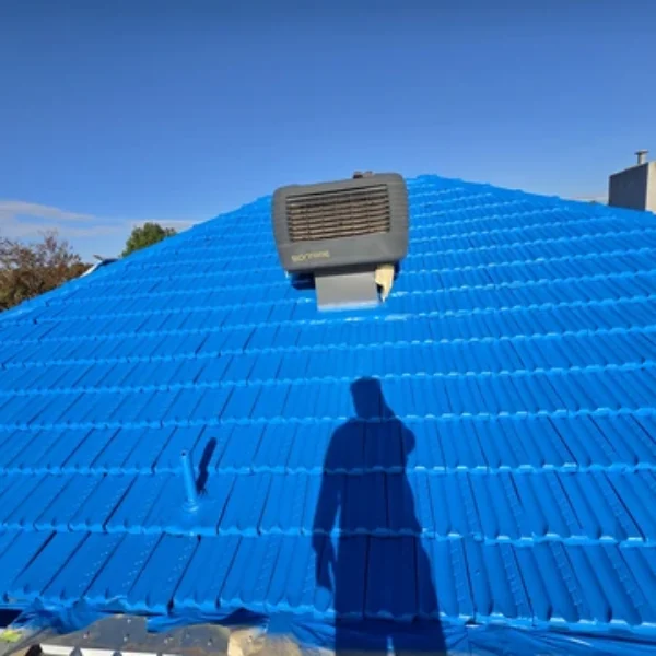 roof repair and painting services bendigo shine coating