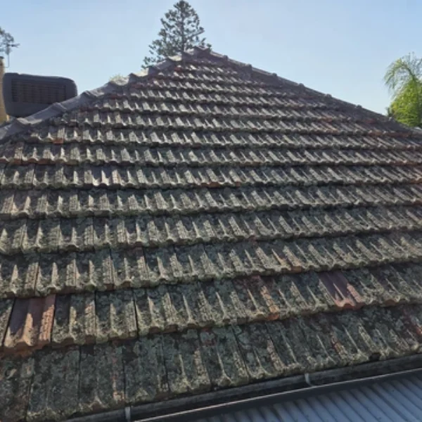 roof repair and painting services bendigo shine coating