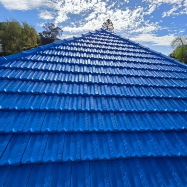 roof repair and painting services bendigo shine coating